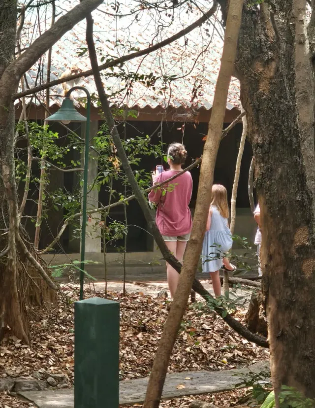 A guest with a child on the path between the cottages