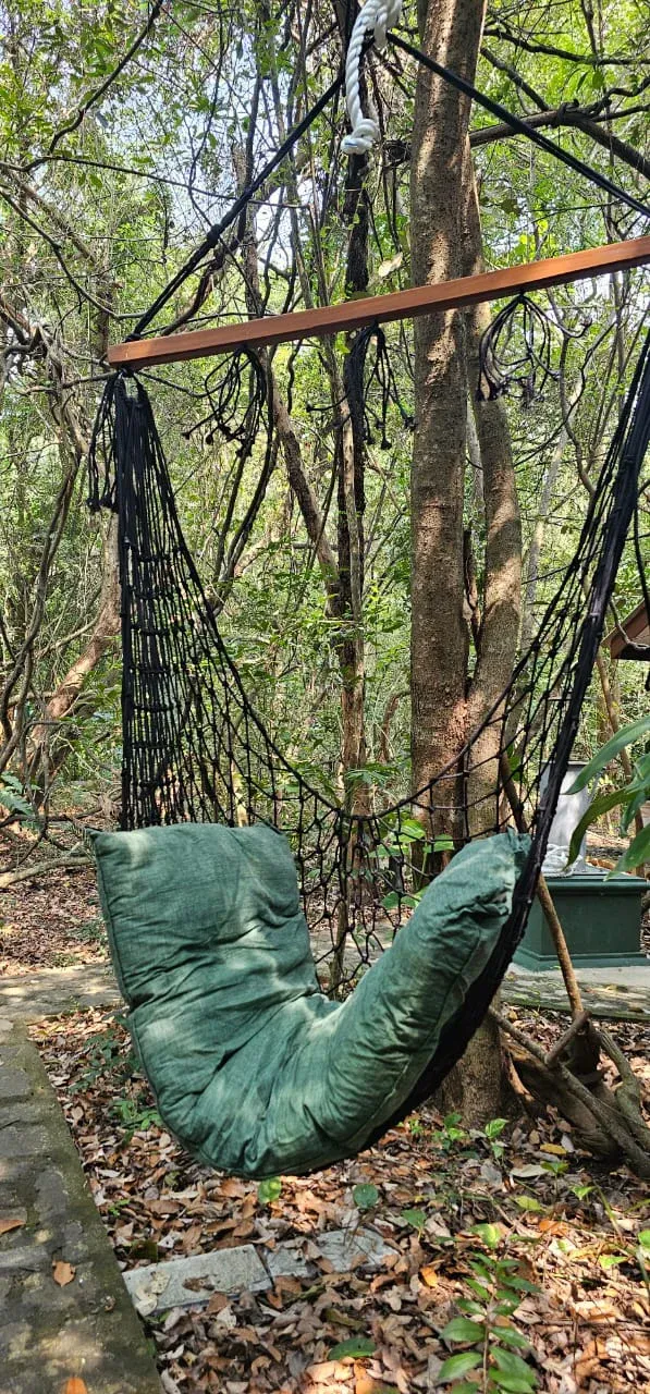 A hammock slung between the trees