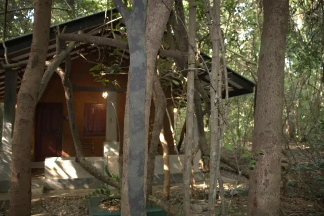 A cottage among the trees