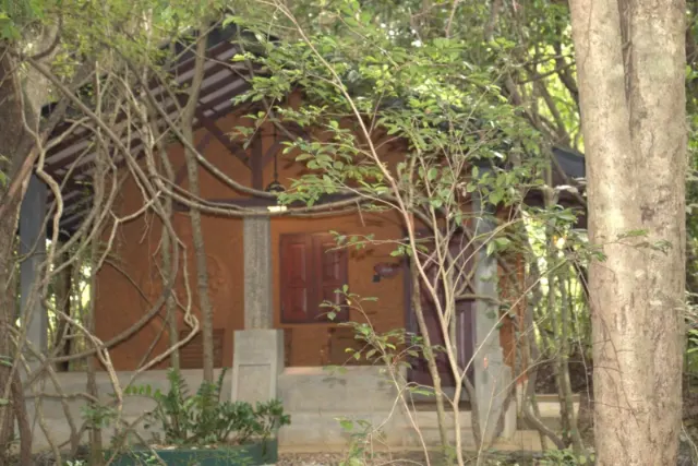 A cottage seen through the trees