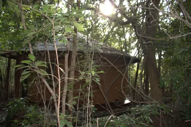 A cottage in the forest